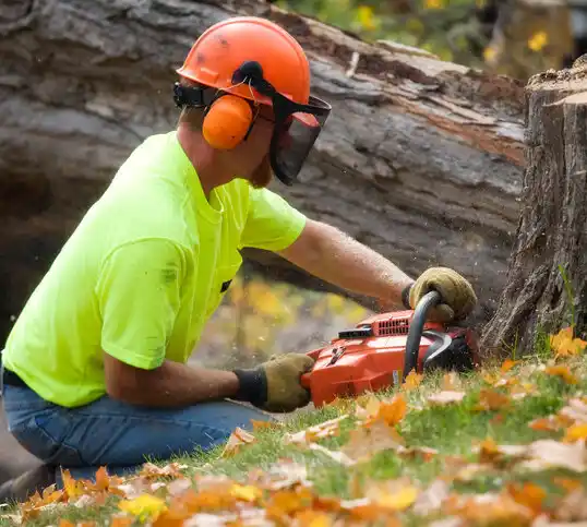 tree services Flora